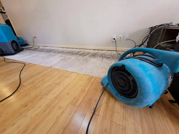Professional Sewage Cleanup technician working in Payne, OH